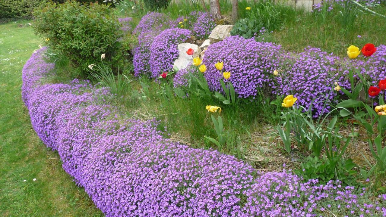 לינה וארוחת בוקר Fénay Les Aubretias מראה חיצוני תמונה